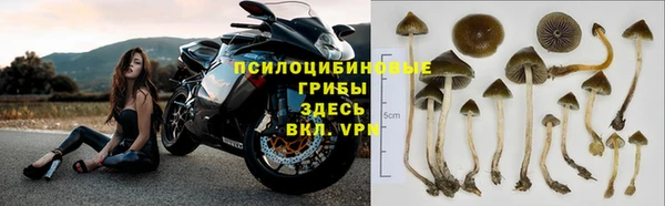 ECSTASY Инсар