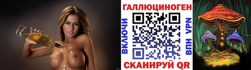 Купить закладки  Кинель  Галлюциногенные грибы Psilocybine cubensis 