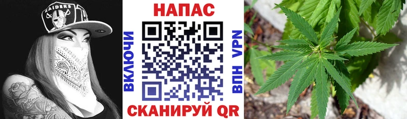 Купить где  Кинель  МАРИХУАНА THC 21% 